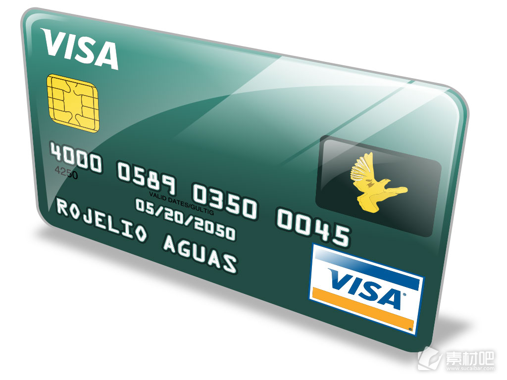 美国VISA卡设计矢量素材