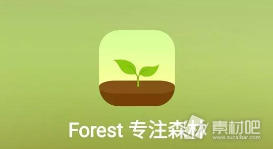 forest专注森林ios和安卓可以一起种树吗
