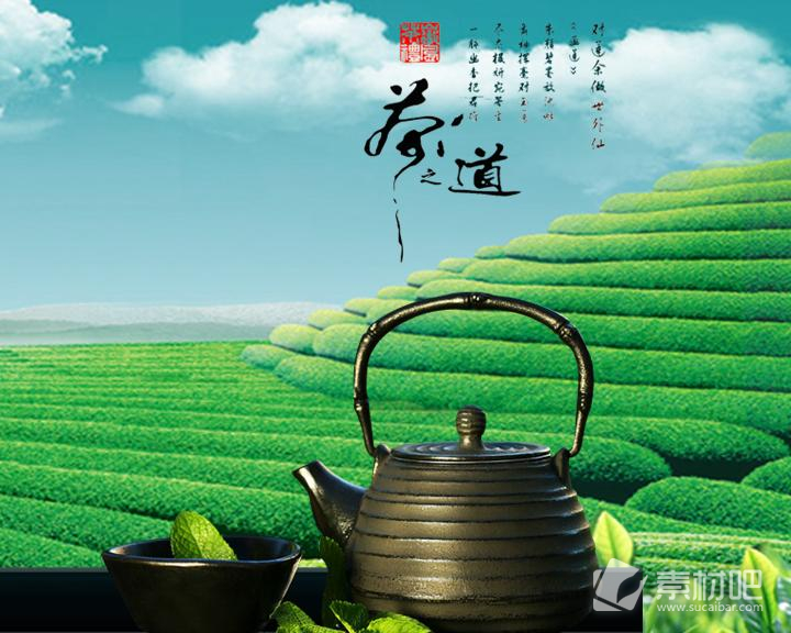墨绿色茶叶茶茶文化PPT素模板
