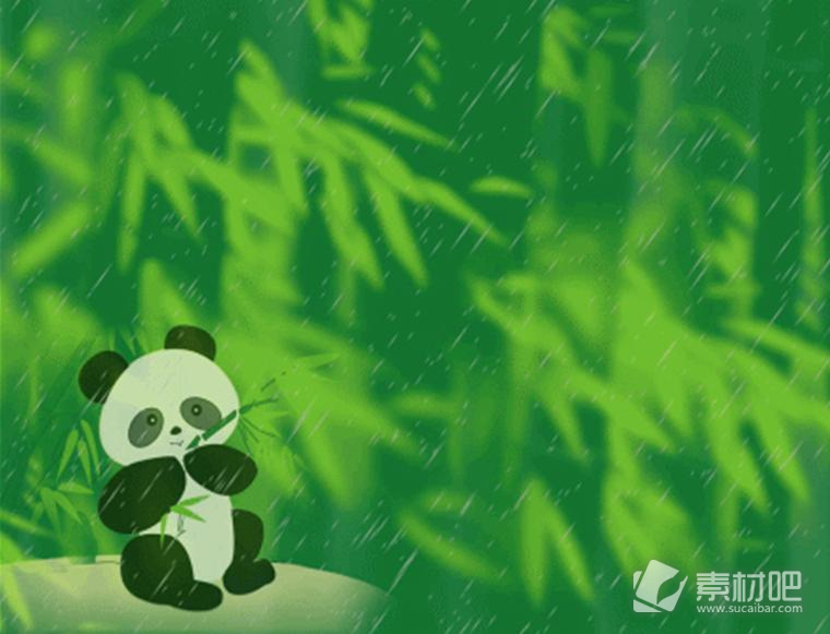 大熊猫背景动物保护PPT模板