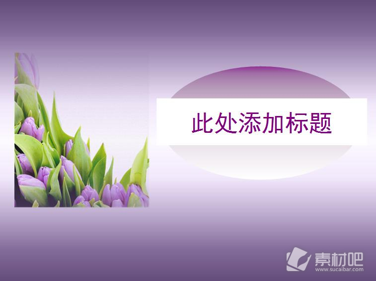 紫色花卉PPT模板