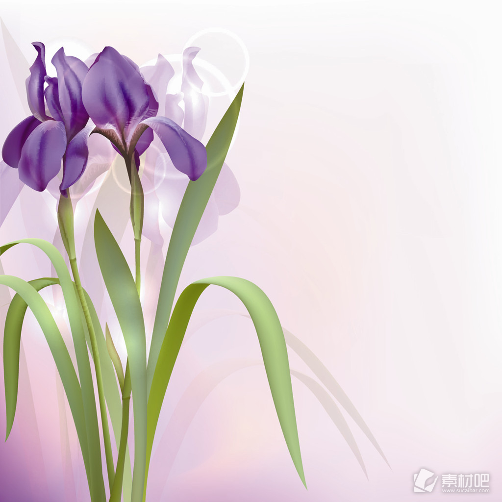 紫色淡雅花卉背景矢量素材
