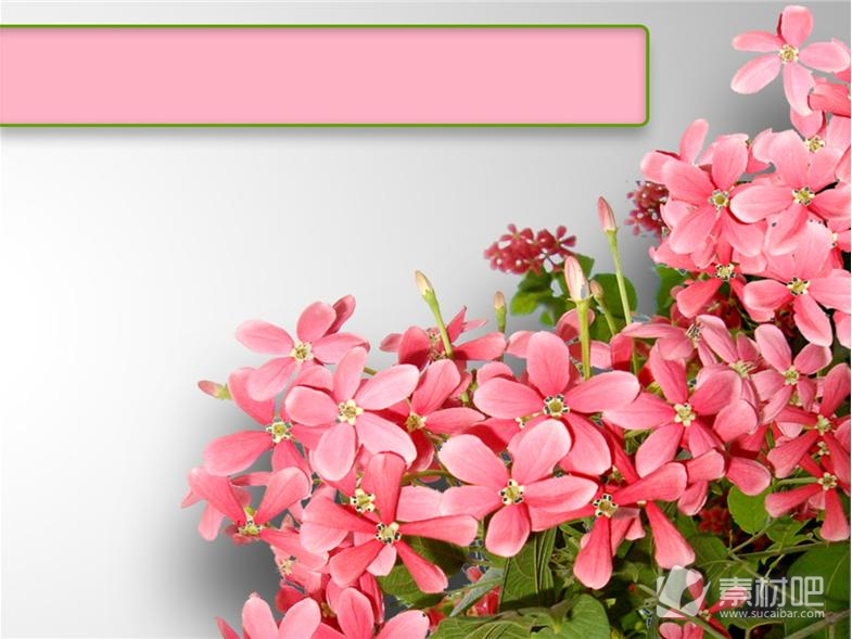 粉色花簇风景PPT模板