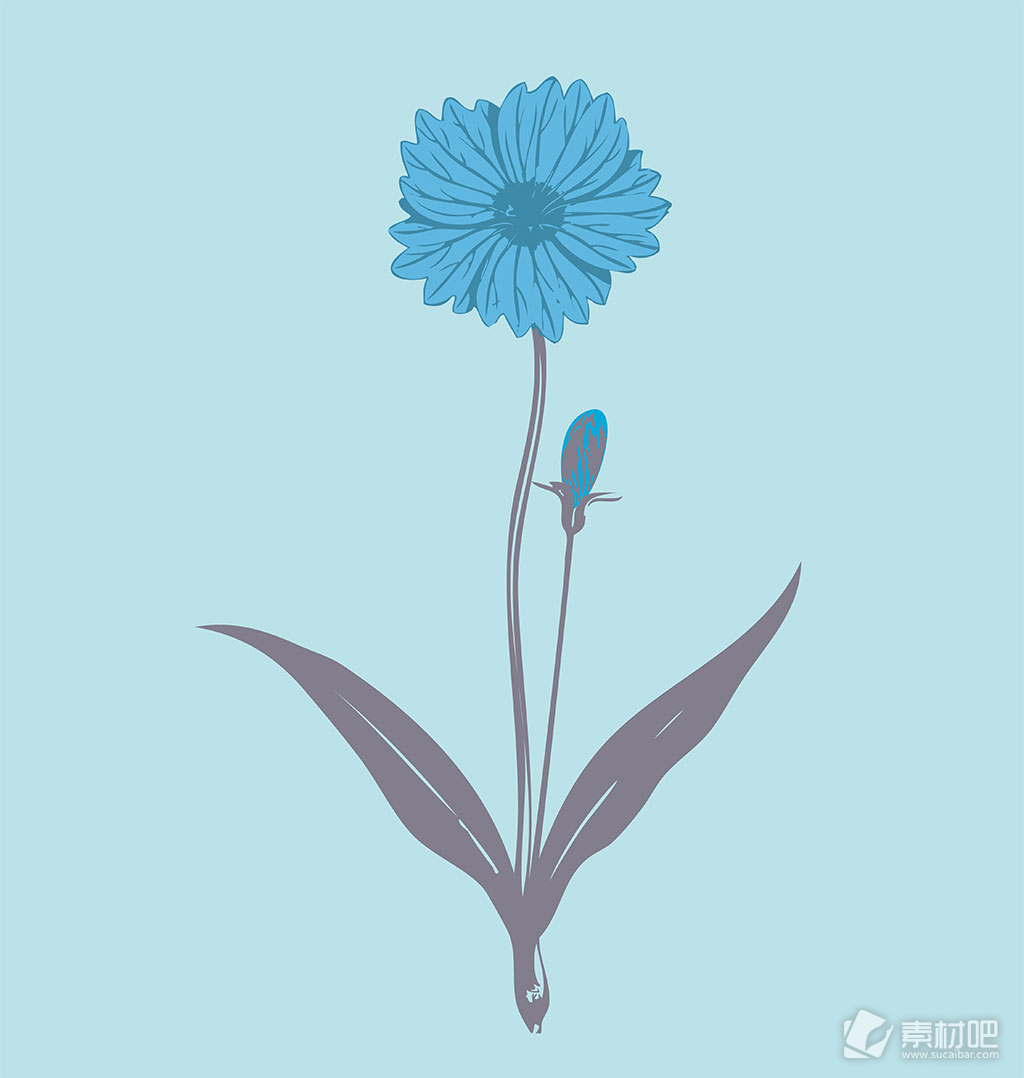 盛开的蓝色花卉矢量素材