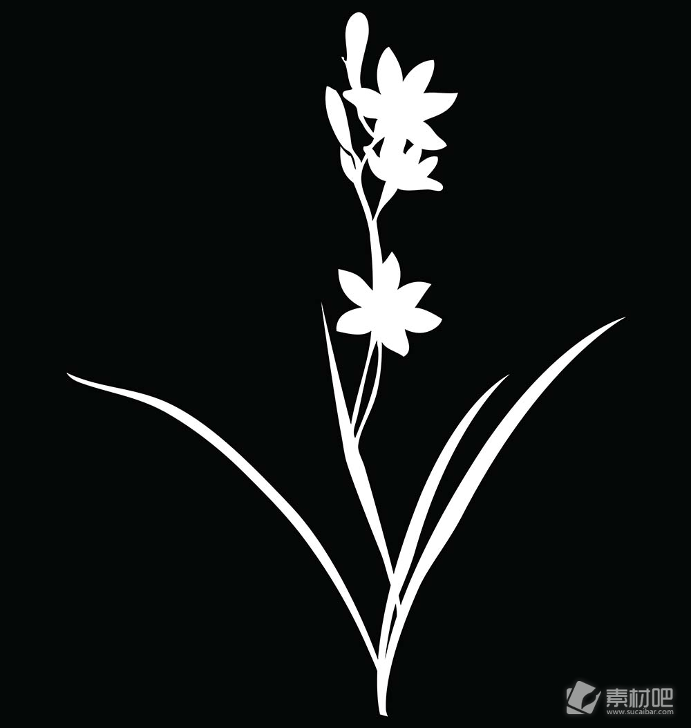 黑色背景白色花卉矢量素材