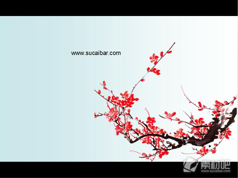 枝头盛开的梅花风景PPT模板