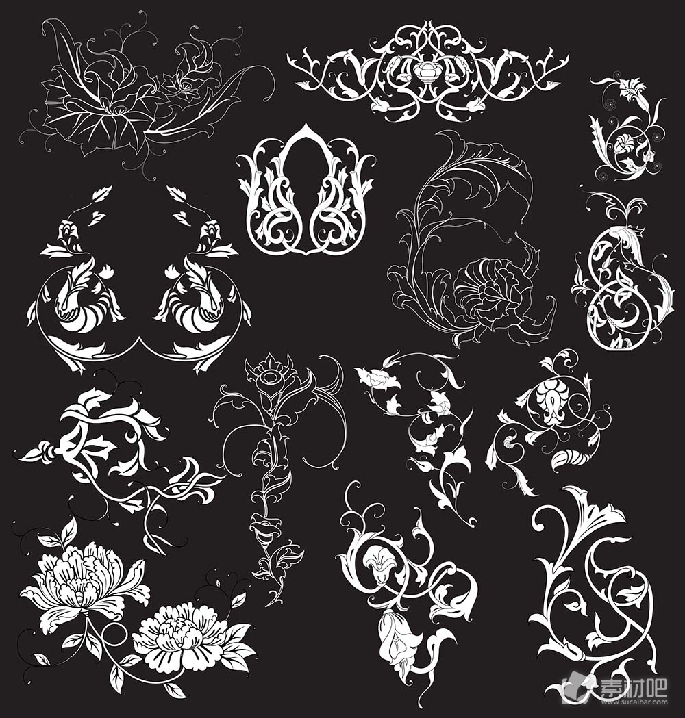 黑色背景花卉设计矢量素材