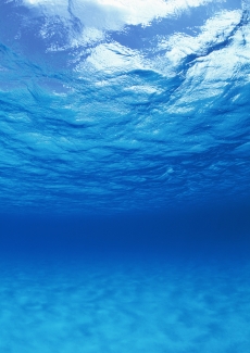 碧蓝色的海底高清图片