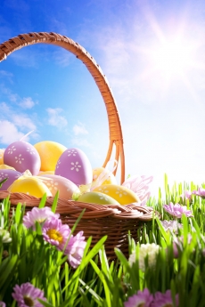 童话般的鲜花彩蛋高清图片