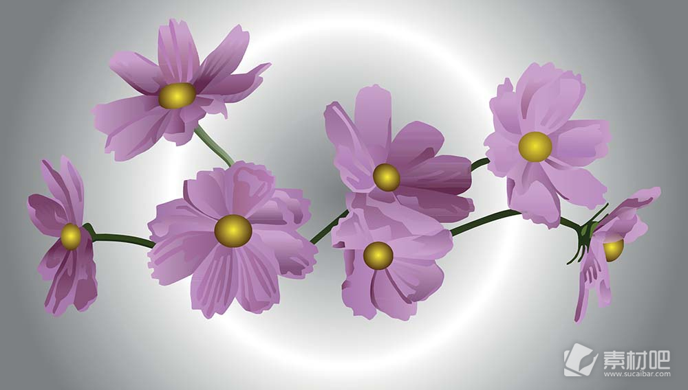 怒放的紫色花卉矢量素材