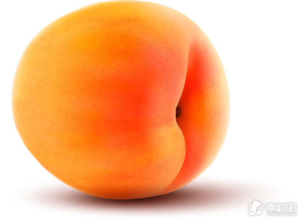 橙色水果矢量素材