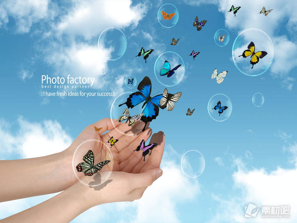 蝴蝶飞舞写真公司宣传海报PSD素材