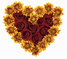 情侣浪漫的玫瑰爱心手机壁纸