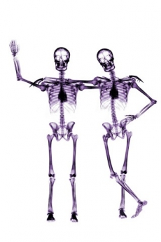 人体骨骼艺术手机壁纸