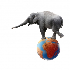 站在地球上的大象高清图片
