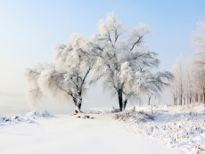 冰雪雾凇美景手机壁纸片