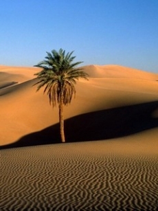 美丽的干枯沙漠风景手机壁纸