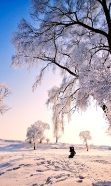 魅力震撼的雪景手机壁纸