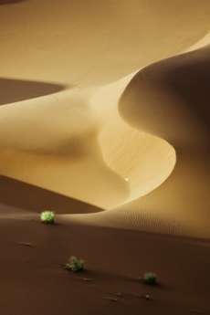 无情沙漠美丽风景摄影手机壁纸
