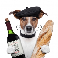 抱着红酒面包的酷狗高清图片