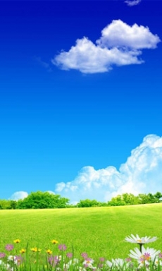 蔚蓝天空美丽草原风景手机壁纸