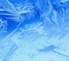 美丽的雪花冰霜手机壁纸