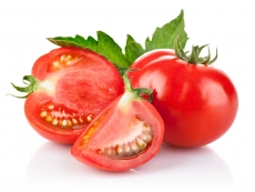 鲜嫩绿色植物西红柿高清图片