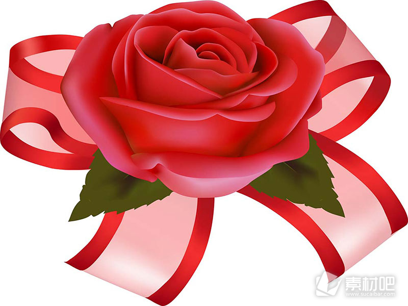 艳丽红色鲜艳玫瑰彩带矢量素材