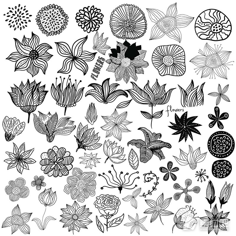 精美黑白花卉图集矢量素材