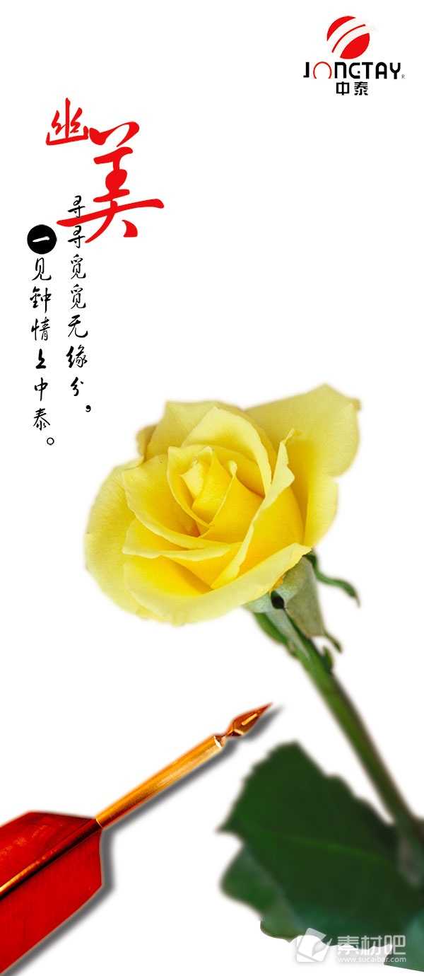 白色背景黄色花朵中泰企业宣传海报PSD素材