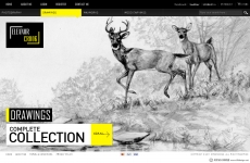 欧美优秀手绘图网站首页设计