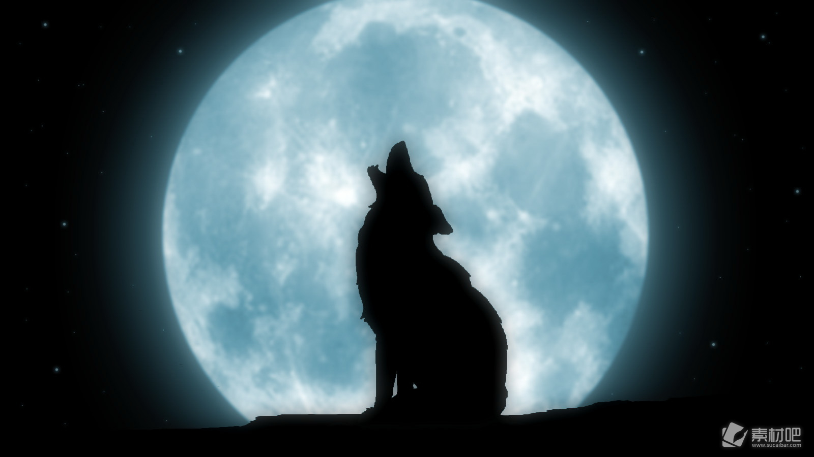 Вой волка на луну песня. Волк воет на луну. Собака воет на луну. Волк на горе воет на луну. Койот воет на луну.