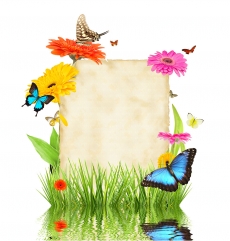 清新蝴蝶花卉文本框高清图片
