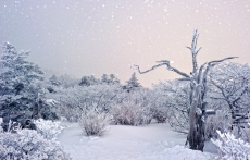 迷人雪景高清摄影桌面壁纸