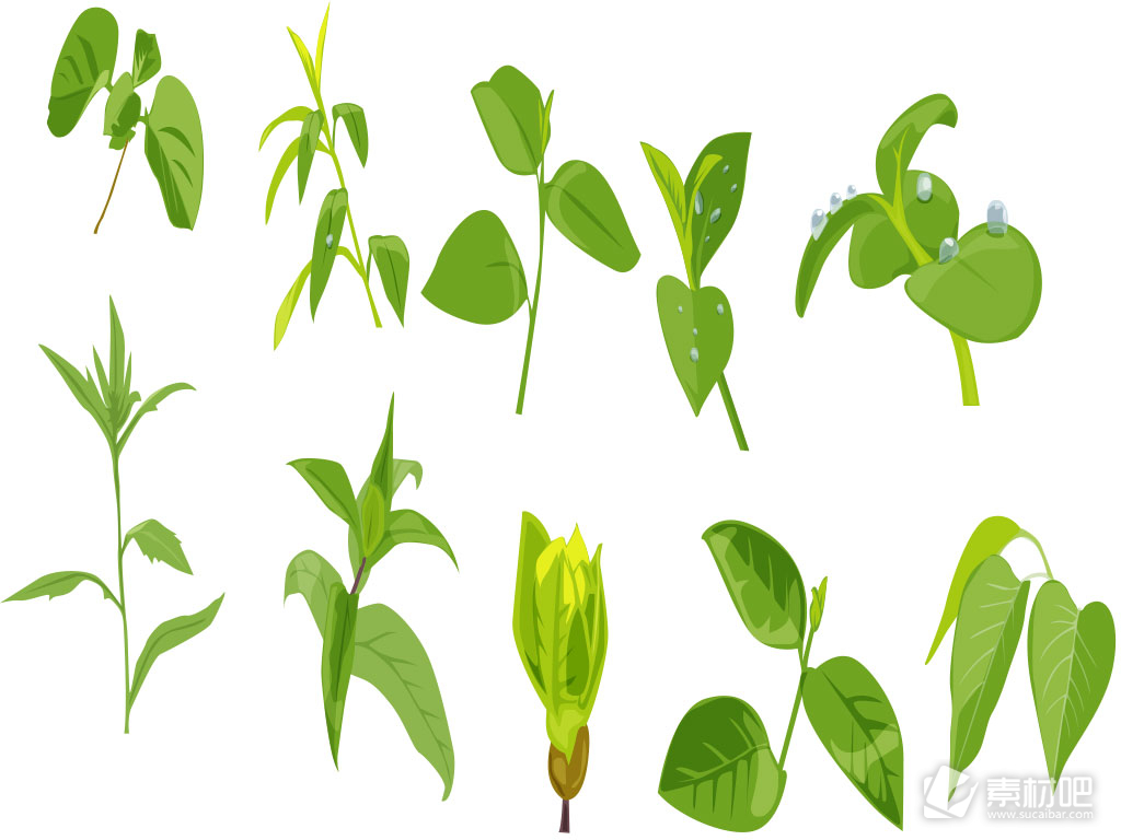 绿色叶子植物矢量素材