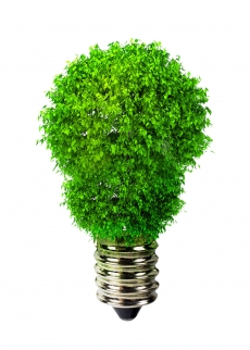 绿色植物创意设计电灯泡高清图片