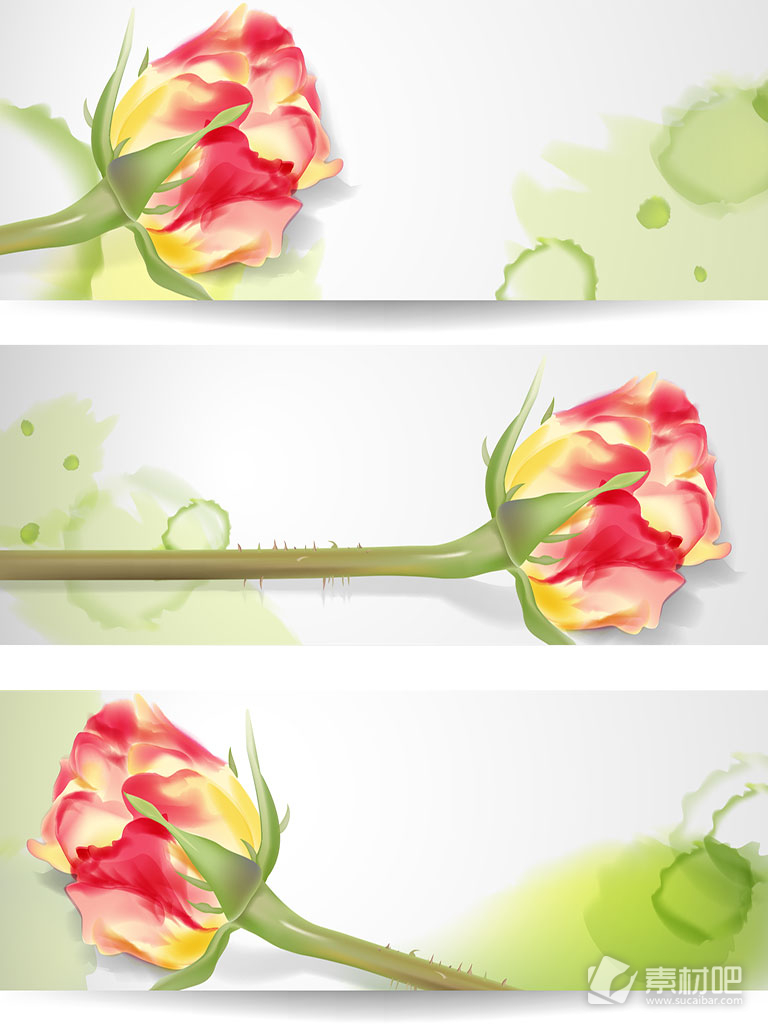 水彩玫瑰横幅设计矢量素材
