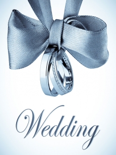 婚礼中使用的钻石戒指高清图片