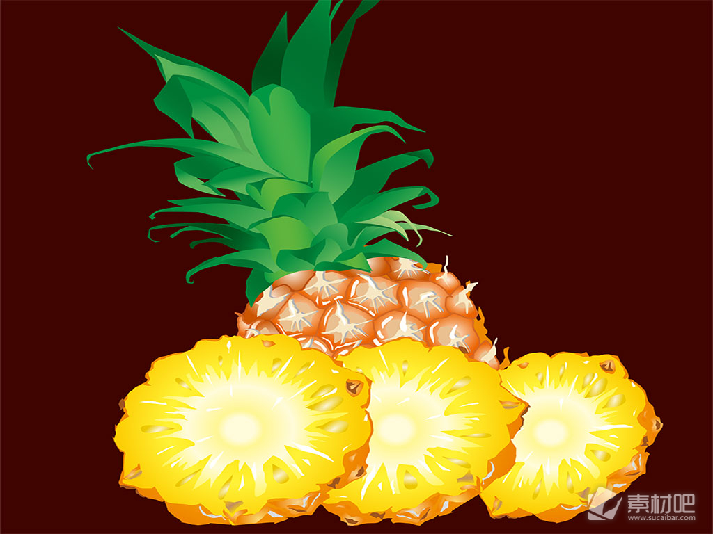 卡通色彩美味菠萝写真矢量素材