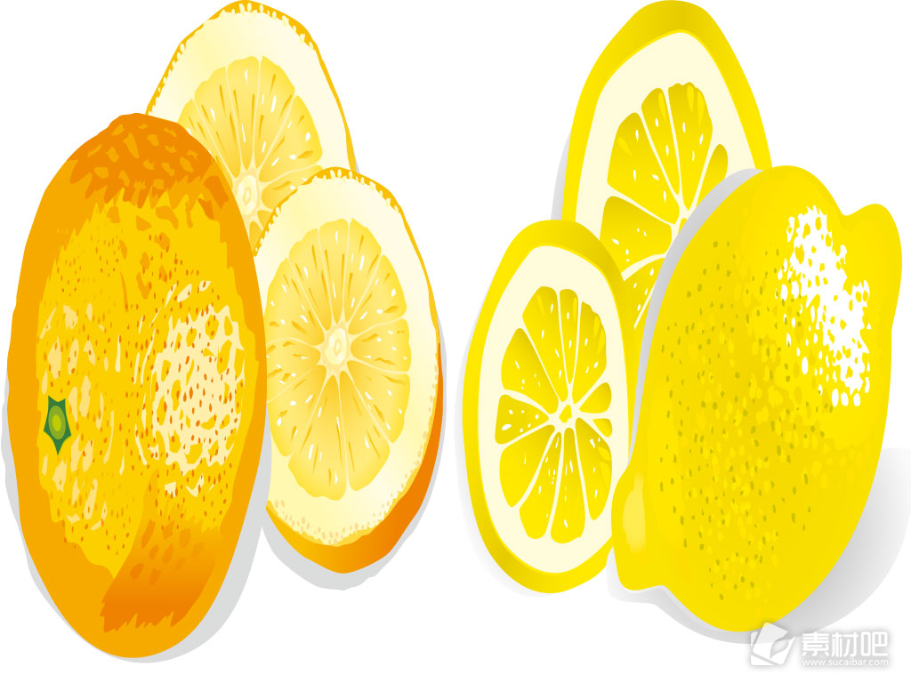 橙色柠檬写真矢量素材
