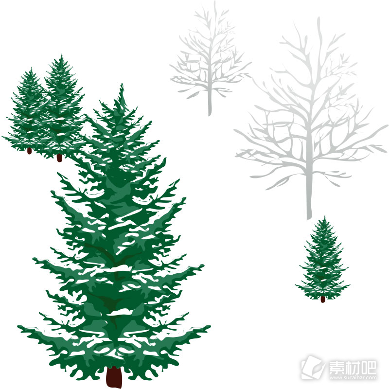 绿色自然的圣诞树写真矢量素材
