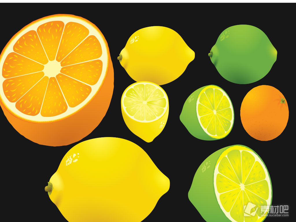 鲜艳橙色绿色柠檬写真矢量素材