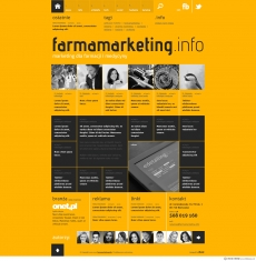 橙色公司企业网站首页设计