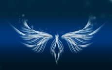 天使的翅膀炫光高清图片