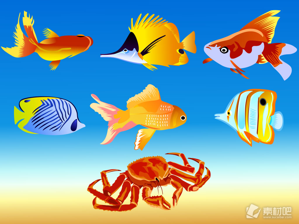 海底世界动物写真卡通矢量素材