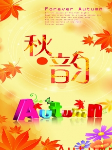 秋天韵味枫叶海报高清图片