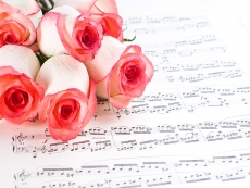 乐谱上的美丽玫瑰高清图片