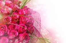 送给爱人的鲜红玫瑰花束高清图片