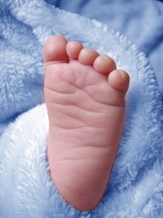可爱的婴儿宝宝的小脚丫高清图片