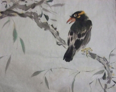 中国水墨画树枝上的八哥高清图片